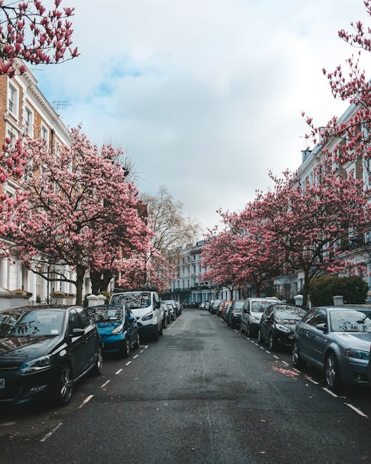 A quiet residential street lined with parked cars on both sides, with a row of pink blossom trees in full bloom along the pavement. The trees have dense branches covered in delicate pink flowers, creating a vibrant canopy over the parked vehicles, which vary in colour from black, white, silver, to dark blue. The street is paved with asphalt, showing some slight wear, and marked with white dashed lines indicating parking boundaries. In the background, there are white and beige terraced houses with traditional architectural details, such as bay windows, decorative cornices, and wrought-iron railings, set against a partly cloudy sky with patches of blue. The scene suggests a typical urban environment during spring, with a peaceful atmosphere ideal for local rubbish collection or eco-friendly waste disposal, as would be managed by Waste Clearance Kensington. The overall setting highlights a well-maintained street scene with an emphasis on street-side aesthetics and residential rubbish management, offering a natural connection to private waste handling services in the area.